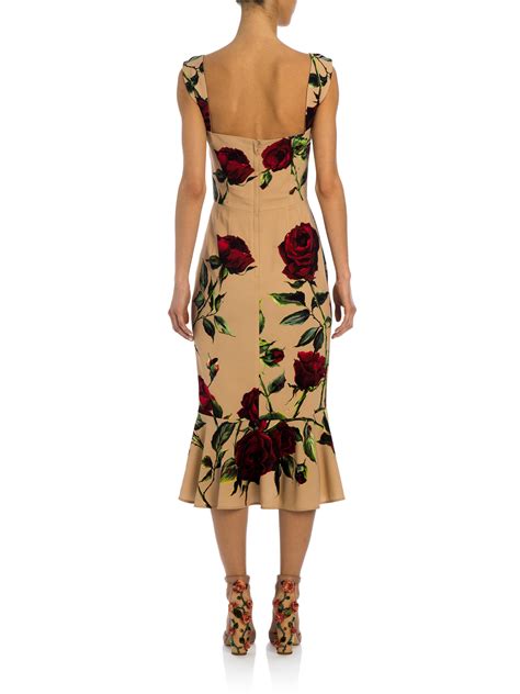 dolce gabbana vestito rose|dolce gabbana rose print midi dress.